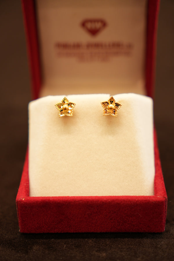 22K Gold Textured Star Stud Earrings