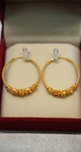 Gold hoop earrings with intricate designs in a red box.