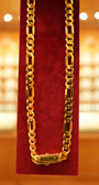 22K Gold Designer Men's Chain (22 Inches)