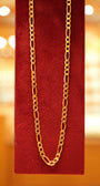 22K Gold Designer Men's Chain (20 Inches)