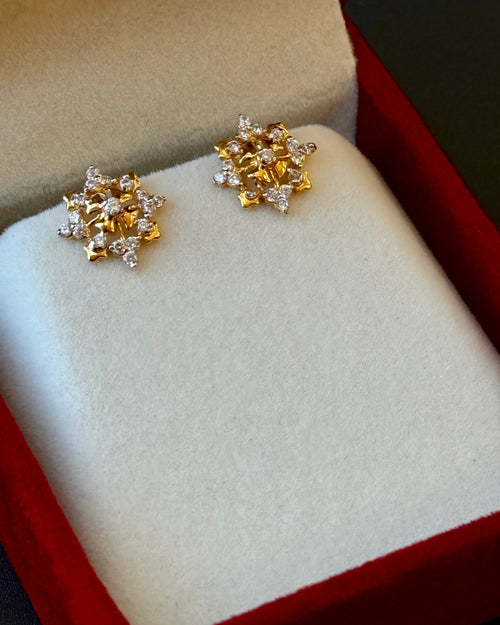 22K Gold Ladies Earrings